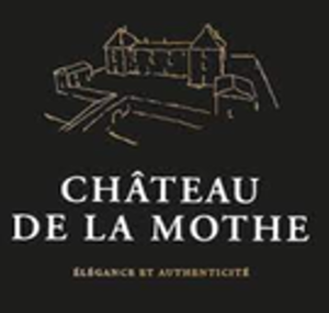 Chateau de la mothe