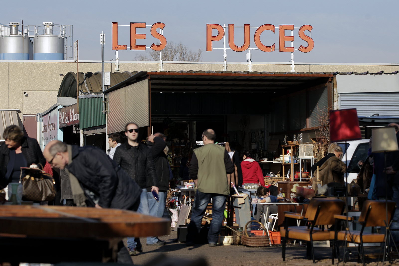 Les puces du canal